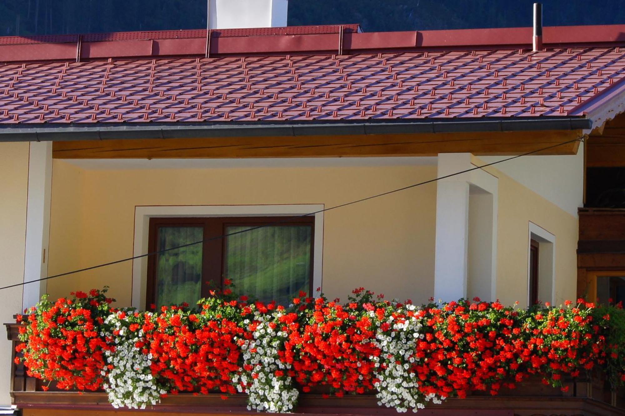 קאפל Kathrin Apartments - Kapplerhof מראה חיצוני תמונה